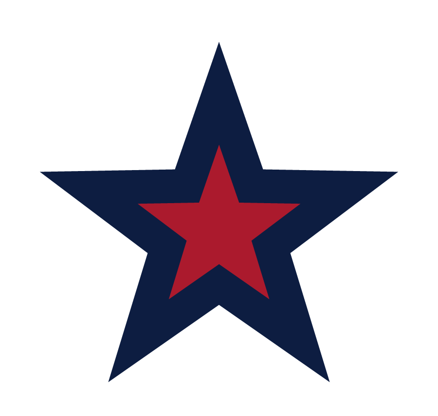 Robert Morris Colonials 2020-Pres Alternate Logo DIY iron on transfer (heat transfer)